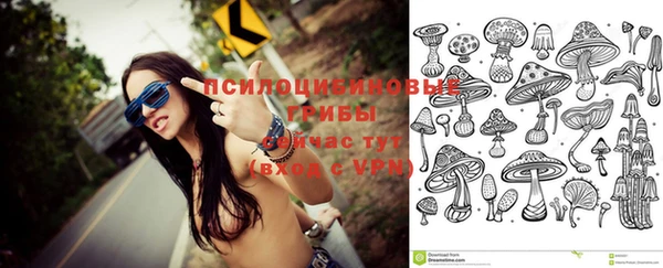 кристаллы Заводоуковск