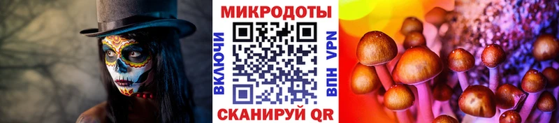 Галлюциногенные грибы MAGIC MUSHROOMS  купить наркоту  Северо-Курильск 